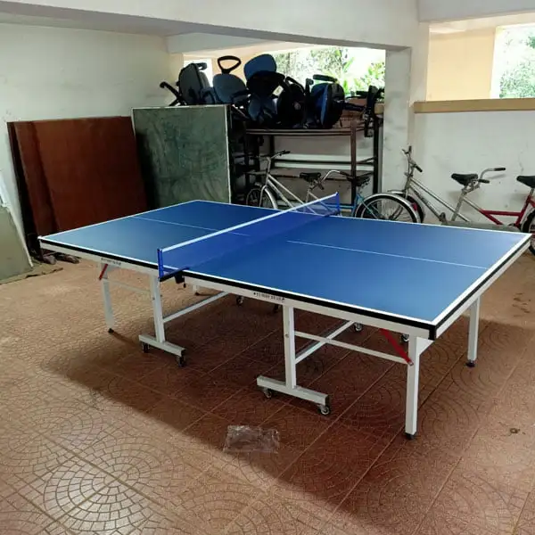 Bàn bóng bàn Thiên Trường Sport MDF 18 ly 2022