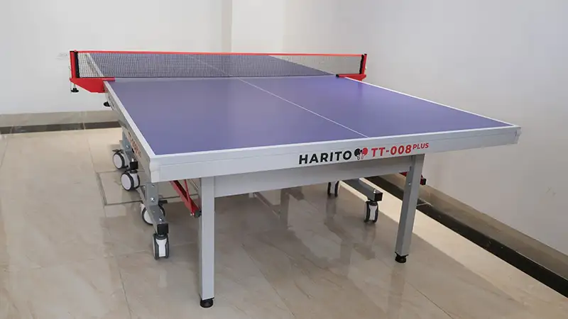Hình ảnh thực tế bàn bóng bàn nhập khẩu TT-008 Plus