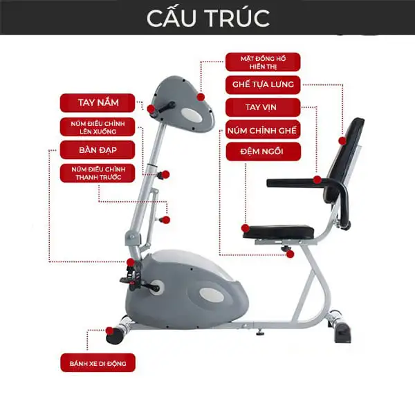 Xe đạp tập phục hồi chức năng điện T698 