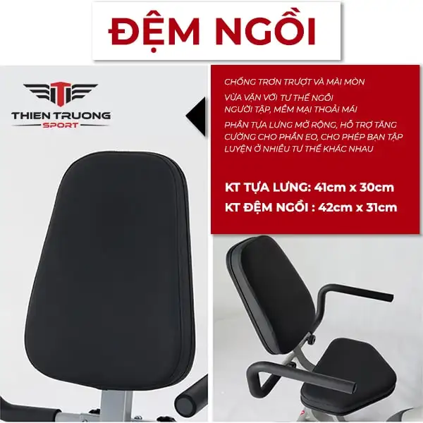 Xe đạp tập phục hồi chức năng điện T698 