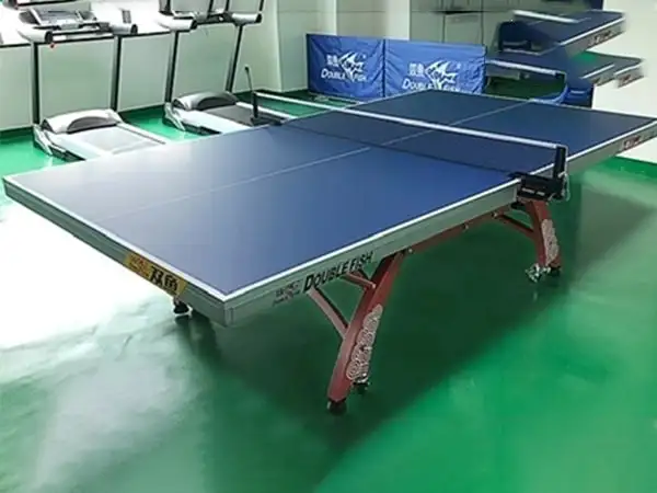 Bàn bóng bàn Double Fish 328A