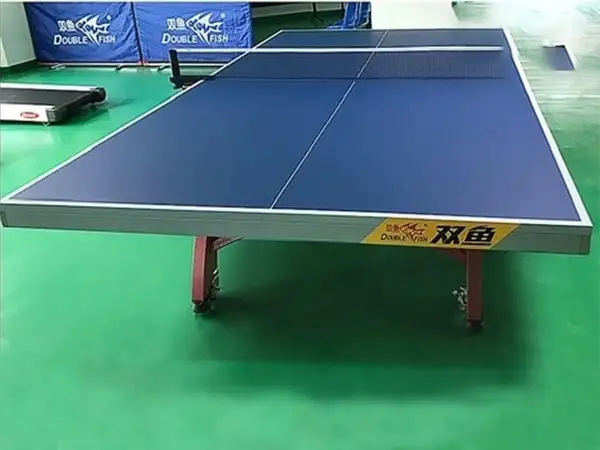 Bàn bóng bàn Double Fish 328A