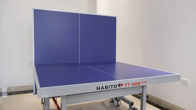 Mặt bàn bóng bàn nhập khẩu TT-008 Plus