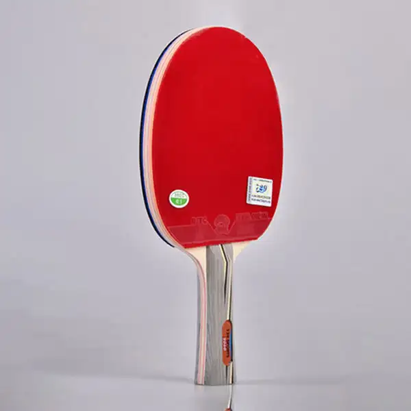 Vợt bóng bàn 729 2060