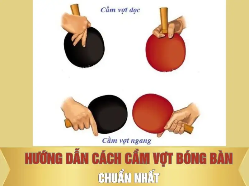 Hướng dẫn cách cầm vợt bóng bàn chuẩn nhất