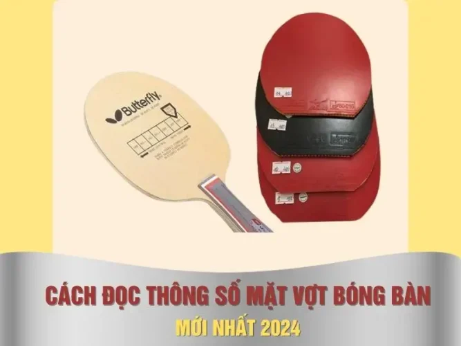 cách đọc thông số mặt vợt bóng bàn