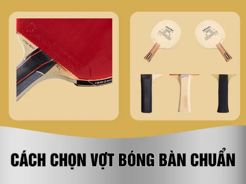 Cách chọn vợt bóng bàn chuẩn cho mọi trình độ