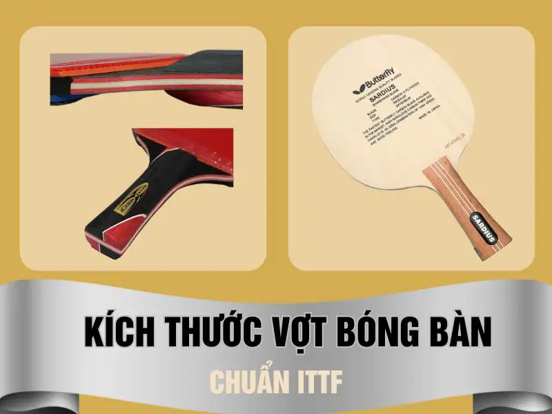 Kích thước vợt bóng bàn chuẩn quốc tế ITTF