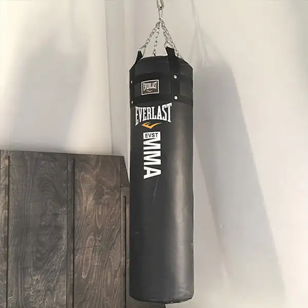 Hình ảnh thực tế bao cát boxing Everlast