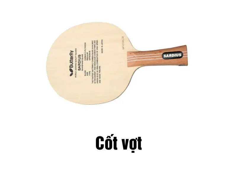 Cốt vợt gồm 2 bộ phận cán vợt và mặt vợt được tạo thành từ 1 đến 7 lớp tùy từng loại