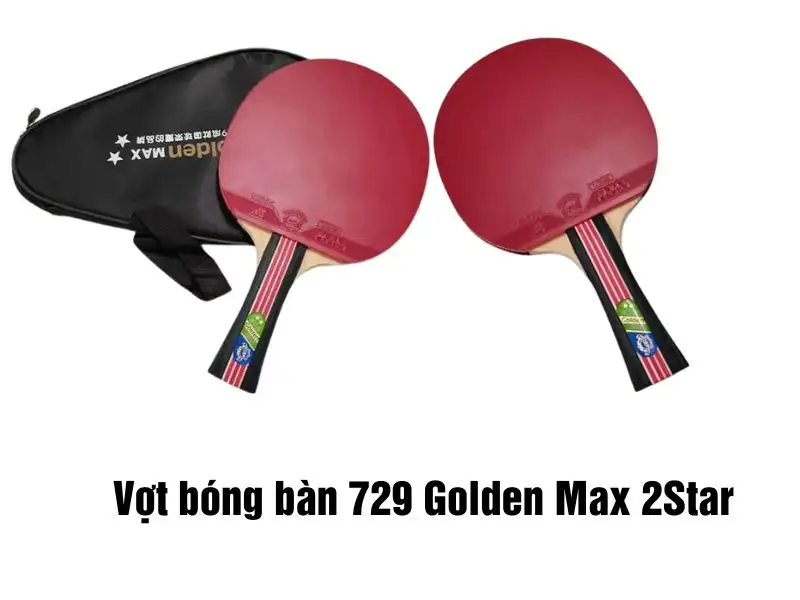 Vợt bóng bàn 729 Golden Max 2Star