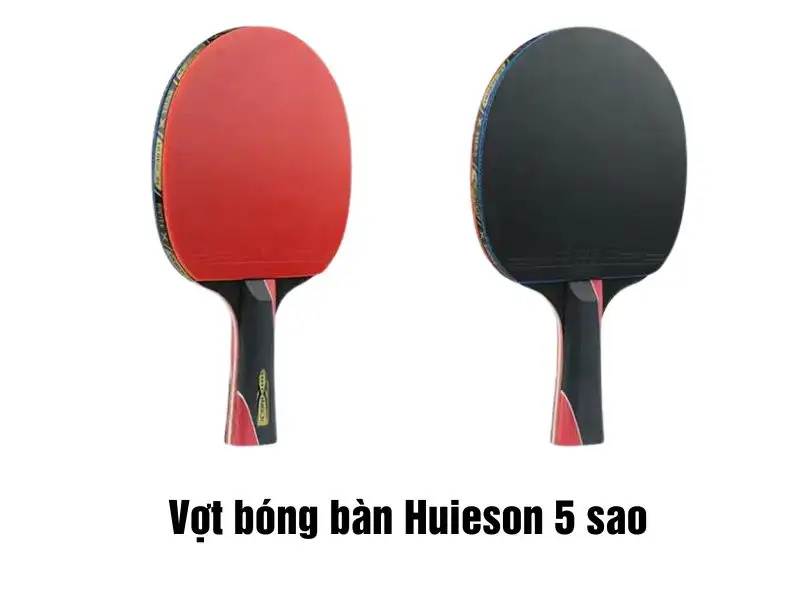 Vợt bóng bàn Huieson 5 sao