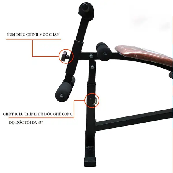 Cấu tạo ghế cong tập bụng Ben Pro 601003 
