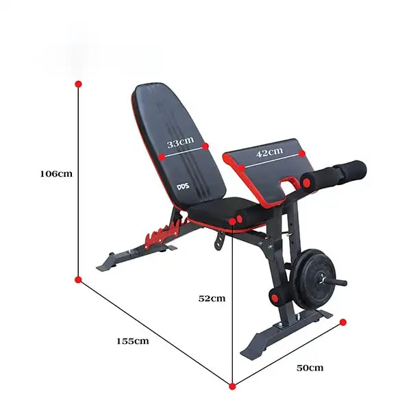 Kích thước ghế tập Gym DDS-1205
