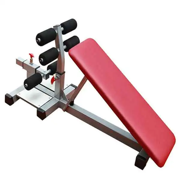 Khung tập lưng bụng - Squat 601009