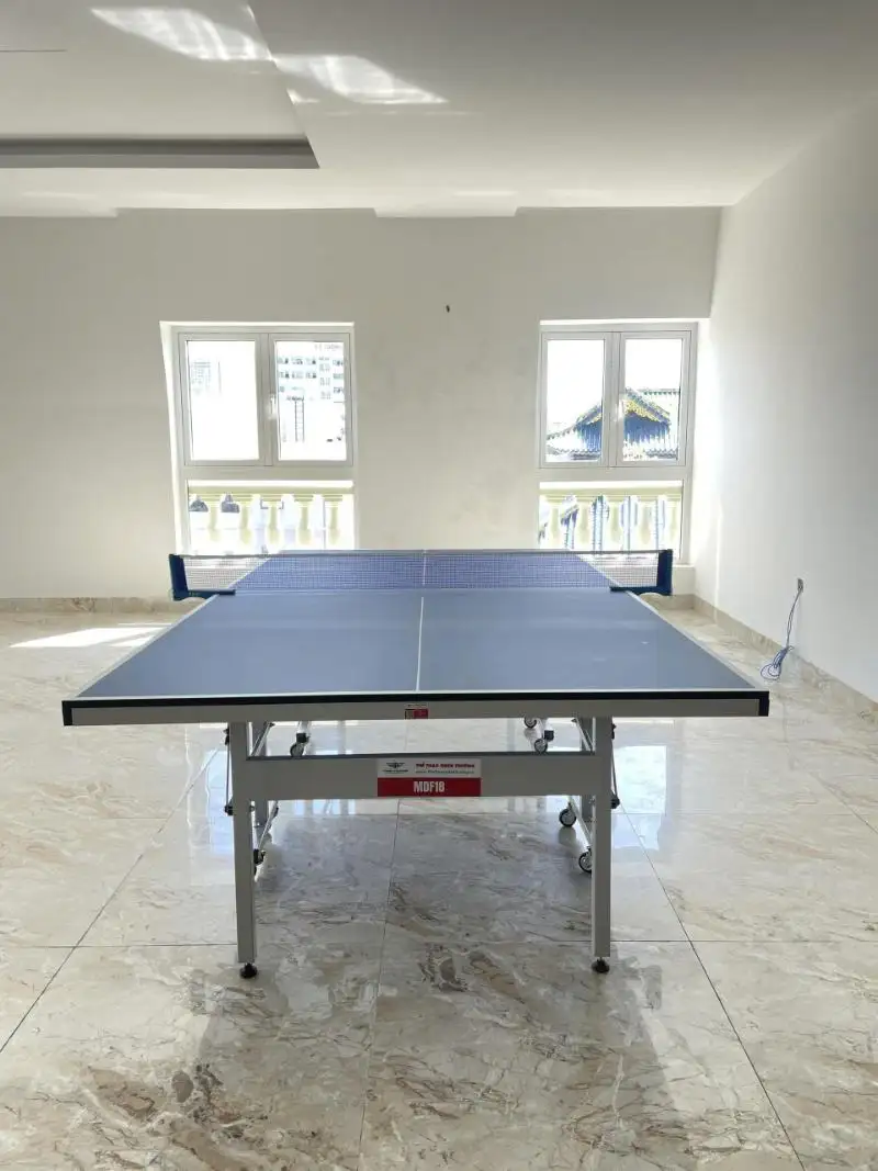 So sánh bàn bóng bàn gia đình và bàn bóng bàn thi đấu