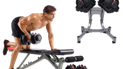 Kích thước Ghế tập tạ tiêu chuẩn