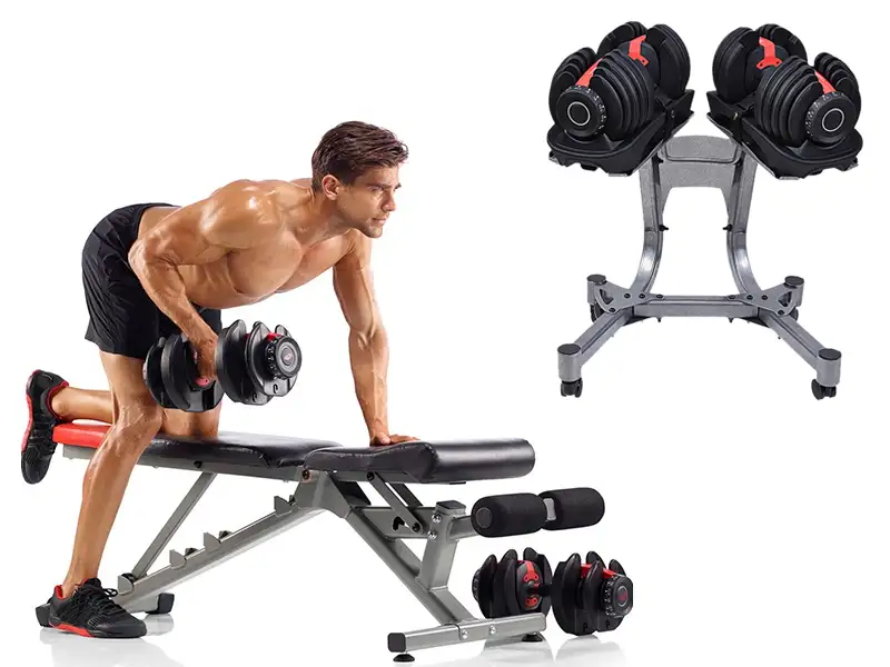 Kích thước Ghế tập tạ tiêu chuẩn