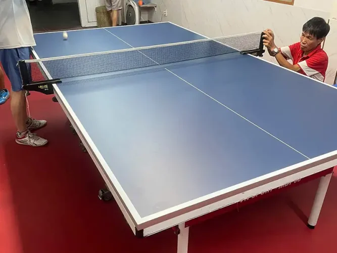 Cấu tạo mặt bàn bóng bàn