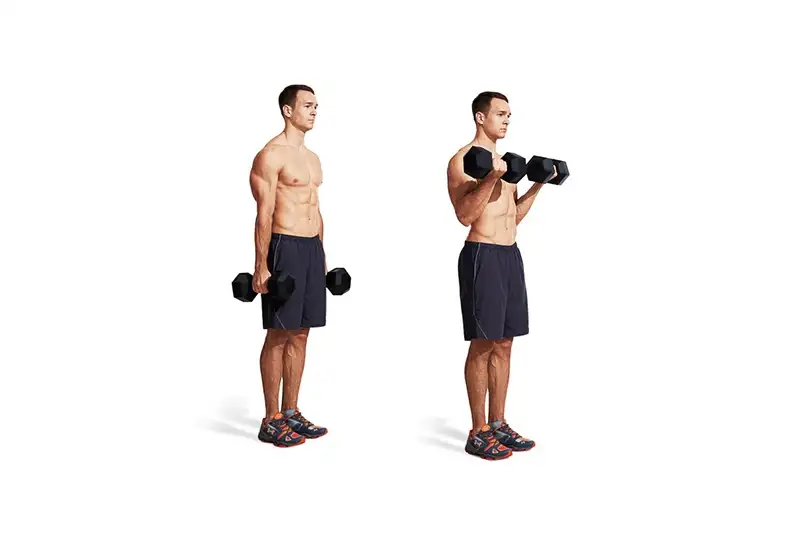 Tạ tay Brosman (70.000/Kg) 5 Bài tập Biceps Curl