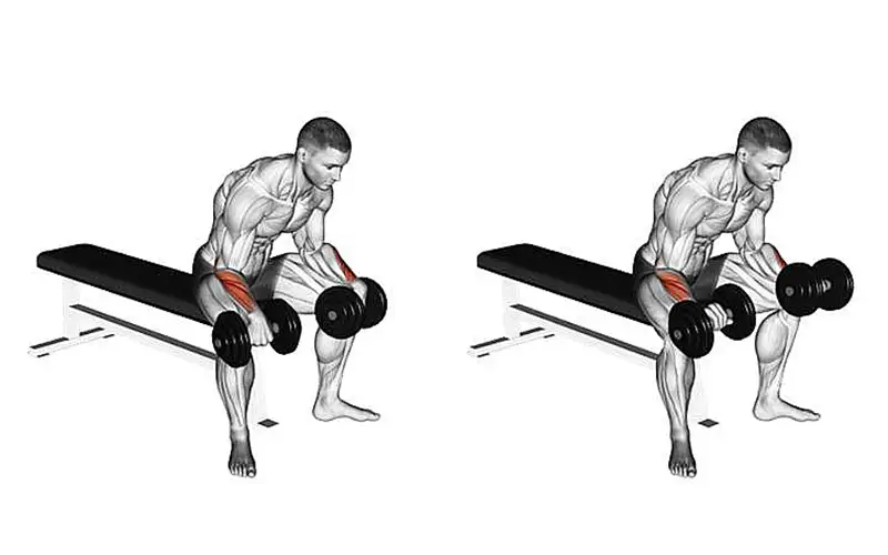 bai tap co tay Palms Down Wrist Curl