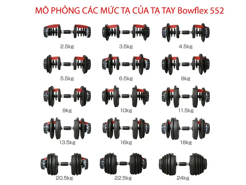 Tạ tay Bowflex 552 (24kg / 1 quả) 6 Bảng mô phỏng các mức tạ của tạ tay Bowflex 552
