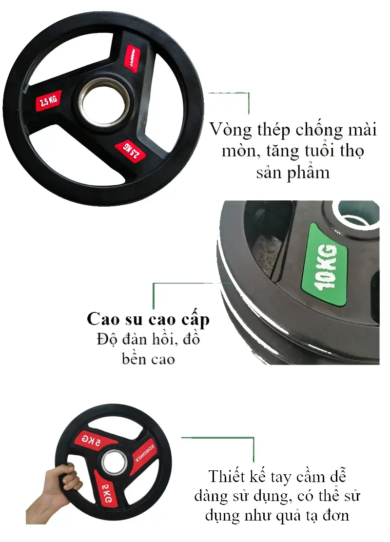 Đặc điểm tạ bánh cao su Kingbox