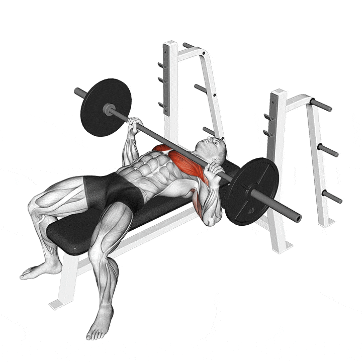 đẩy tạ với ghế tập tạ barbell-bench-press-min