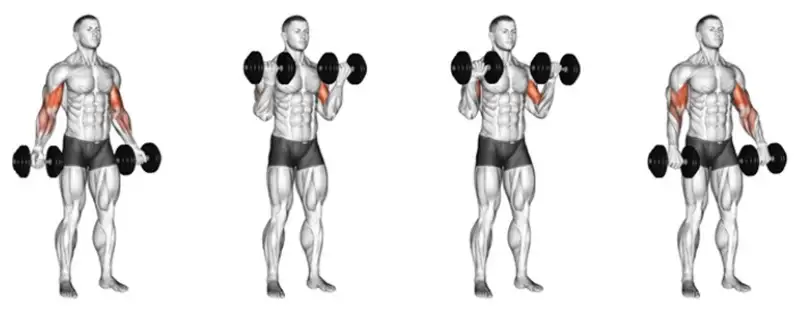 Bài tập Lưng + Tay trước