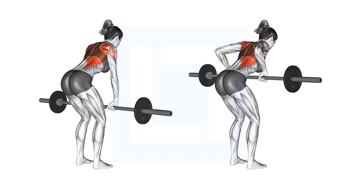 Bent Over Row