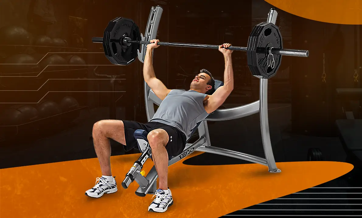 các bài tập tạ đòn cơ bản