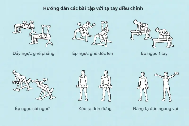 Tạ tay điều chỉnh 12 Kg (2 tay =24kg) 9 Các bài tập với tạ tay điều chỉnh 12kg