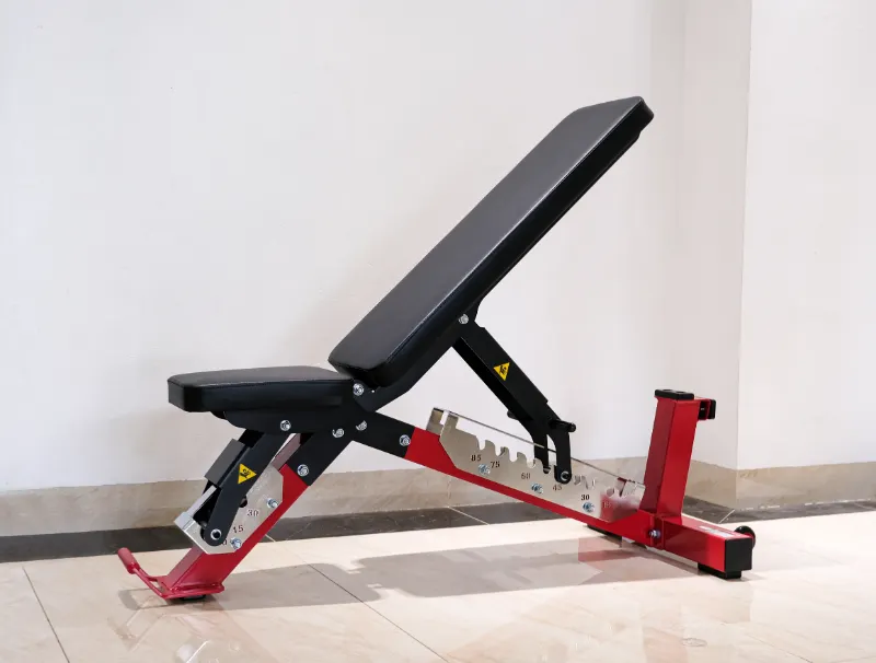 Ghế tập tạ JL065 3 Đặc điểm nổi bật của ghế tập tạ JL065