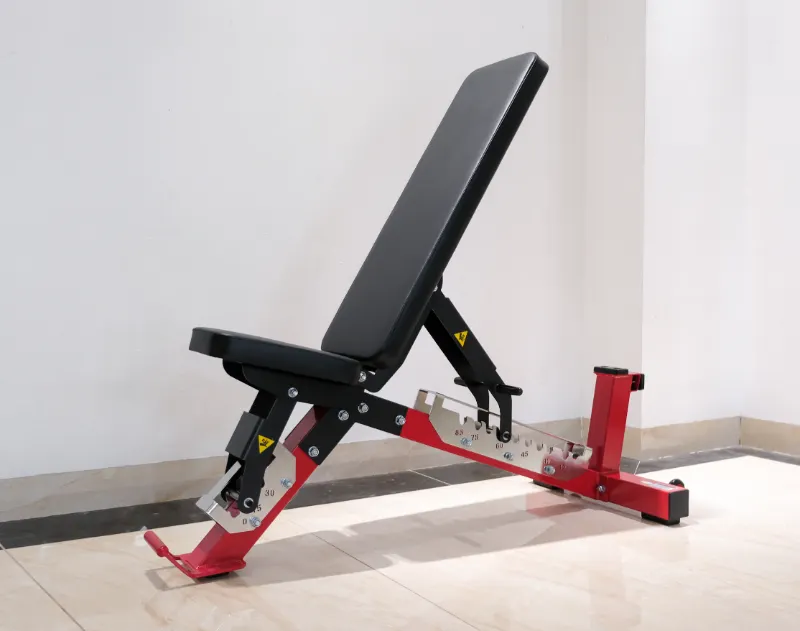 Ghế tập tạ JL065 5 Địa chỉ mua ghế tập tạ JL065 tại đơn vị uy tín