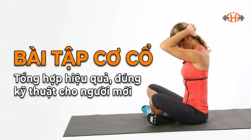 Tổng hợp bài tập cơ cổ hiệu quả, đúng kỹ thuật cho người mới