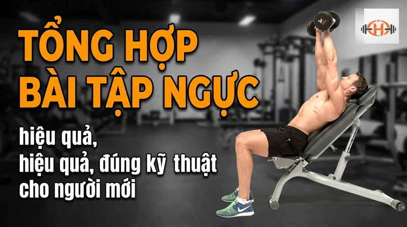 Tổng hợp bài tập ngực hiệu quả, đúng kỹ thuật cho người mới